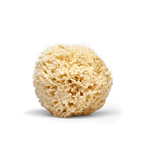 LATHER Natural Sea Wool Sponge | Self Care | Shower and Bath Sponge | Natural Loofah | Sea Sponge for Body Care | One Large Sea Sponge Perfect for Facial Cleansing and Body Wash Sponge