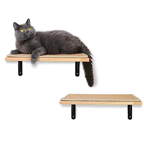 FUKUMARU Floating Wall Shelf with Cat Scratching Mat, 0.79 Inch Thick Solid Rubber Wood Hanging Shelves, 18.3 x 10 Inch (Larger Version- Suitable for Drywall 2 PCS)