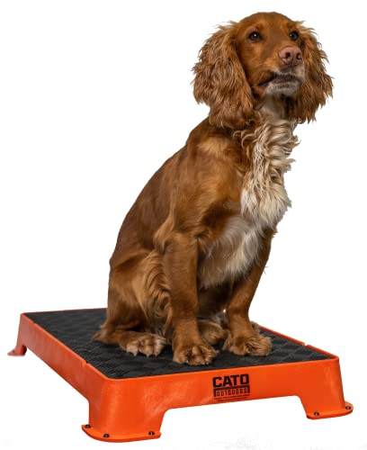 Cato Board - Dog Training Platform (Orange, Rubber Surface)