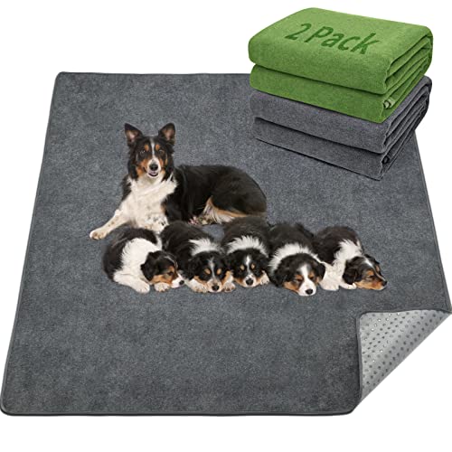 LOOBANI 2 Packs Extra Large Reusable Dog Mat for Floor, Non-Slip Washable Pee Pads for Dogs, Fast Absorbent Pet Whelping Pads, Puppy Playpen Mat for Incontinence, Housebreak, Crate (72"x72"-Mix)