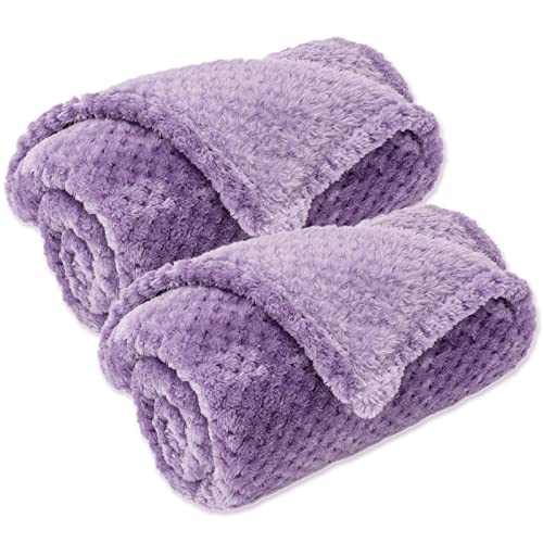 Dog Blanket or Cat Blanket or Pet Blanket, Warm Soft Fuzzy Blankets for Puppy, Small, Medium, Large Dogs or Kitten, Cats, Plush Fleece Throws for Bed, Couch, Sofa, Travel (S/24" x 32", Iris)