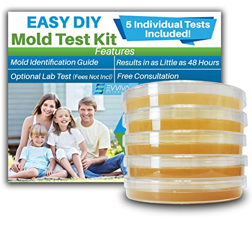 Evviva Sciences Mold Test Kit for Home - 5 Simple Detection Tests w/Optional Lab Analysis, Test HVAC System, Home Surfaces, & Indoor Air Quality - Downloadable Identification Guide