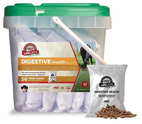 Formula 707 Digestive Health Equine Supplement, Daily Fresh Packs, 28 Day Supply - Probiotics, Prebiotics and Digestive Enzymes for Horses