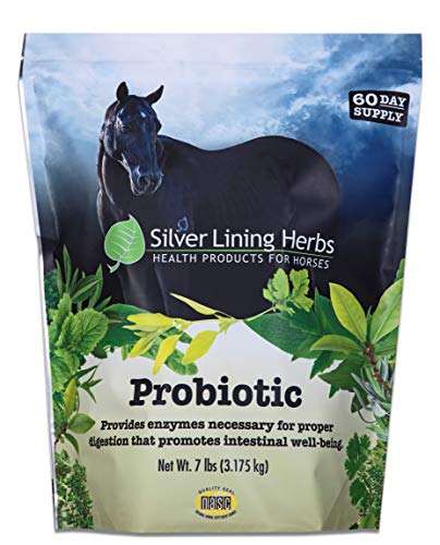 Silver Lining Herbs Horse Probiotic - Micro Encapsulated Probiotics for Equine Digestive Support and a Healthy Gut - Natural Source of Beneficial Bacteria and Enzymes - 7 lb Bag