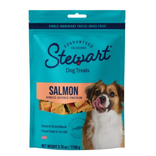 Stewart Freeze Dried Dog Treats, Wild Salmon, Healthy, Natural, Single Ingredient, Grain Free Dog Treat, Salmon Dog Treats, 2.75 Ounces, Resealable Pouch