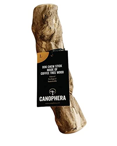 Canophera Coffee wood dog chew sticks for regular chewers - Size Large