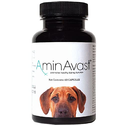 AminAvast Kidney Support Supplement for Cats and Dogs, 1000mg - Promotes Natural Kidney Function - Aids in Health and Vitality of Aging Kidneys - Easily Administered - 60 Sprinkle Capsules