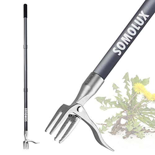 SOMOLUX 52'' Weed Puller Gardening Tool Stand-up Weeder Metal Long Handle and Stainless Steel Claw, No Bending or Kneeling to Easily Remove Weeds from Backyard Lawn Patio (Lenth:52'')