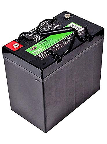 Interstate Batteries 12V 55Ah Deep Cycle Battery (DCM0055) Sealed Lead Acid Rechargeable SLA AGM (Insert Terminals) Wheelchairs, Scooters, ATVs, Solar Power