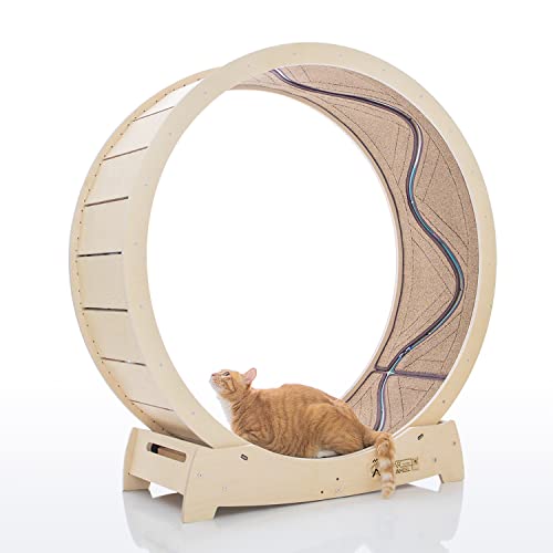 Star Cat Wheel, Cat Treadmill, Exercise Wheel for Running, Spinning, Scratching, and Climbing for Indoor Cats, Premium Birch Wood, Eco-Friendly, Moving Fish, Wide Running Track, 41.7 inch L Size