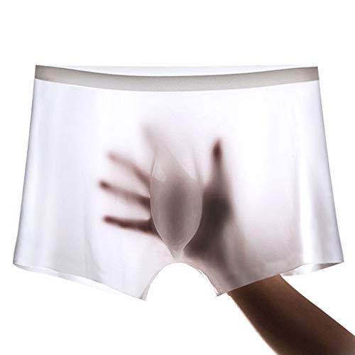 Men's Underwear 3D Stereo Stamping One-Piece Men's Ice Silk Boxer Breathable Seamless Sexy See-Through Transparent Briefs White US SAsian Tag XL/Waist:28-30