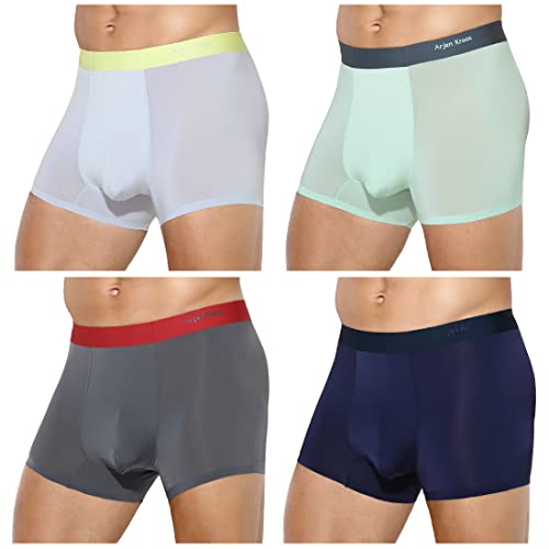 Arjen Kroos Mens Ice Silk Underwear Trunks with Pouch Breathable Boxer Briefs for Men 4 Pack Short Leg Underpants,AK2215-4 pack-B,Medium