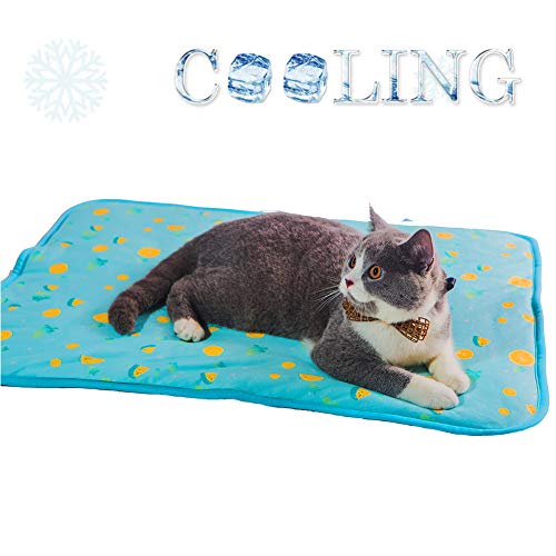 SEIS Dog Ice Pad Ice Silk Cats Kennel Mat Pet Cooling Pad Summer Cool Bamboo Mat Breathable Pad (Blue Fruit, L