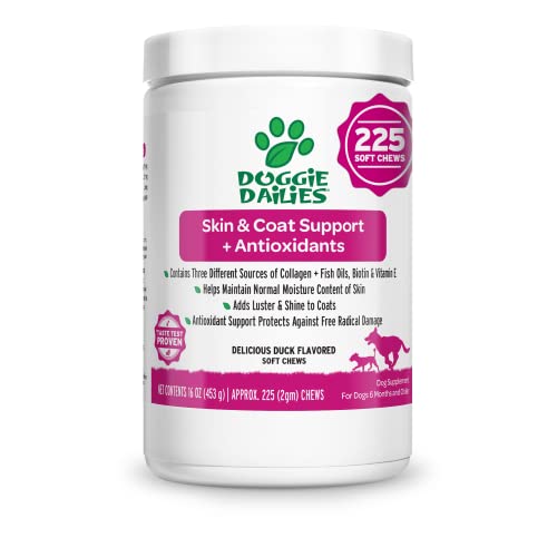 Doggie Dailies Skin & Coat Supplement + Antioxidant Support, 225 Soft Chews, Salmon Oil for Dogs Skin and Coat with Collagen, Omega 3, Krill Oil, Biotin, & Coconut Oil for Dogs