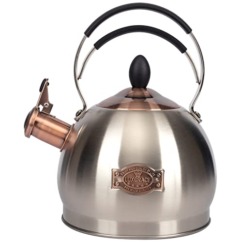 Whistling Tea Kettle Stainless Steel Teapot, Teakettle for Stovetop Induction Stove Top, Fast Boiling Heat Water Tea Pot 2.6 Quart