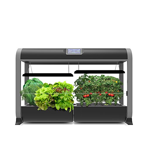 AeroGarden Farm 24Basic with Salad Bar Seed Pod Kit - Indoor Garden with LED Grow Light, Black