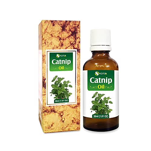 Catnip (Nepeta cataria) Essential Oil 100% Pure & Natural Undiluted Uncut Oil | Use for Aromatherapy | Therapeutic Grade - 30 ML