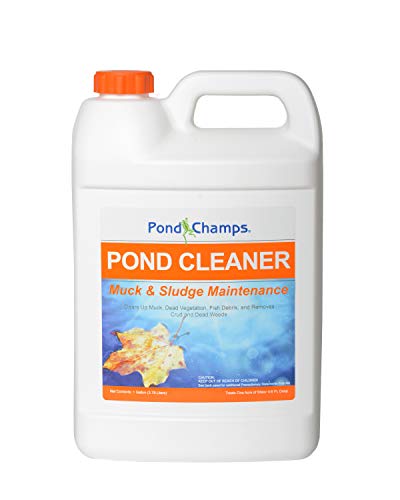 Pond Champs Pond Cleaner - Beneficial Bacteria - Safe for Koi & Gold Fish - 1 Gallon