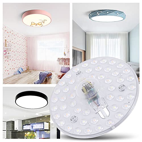 Ceiling Light Round LED Module 110V - 24 W 2400 lm - Conversion Kit with Magnetic Bracket Light White 6500K (pcak 1pc)