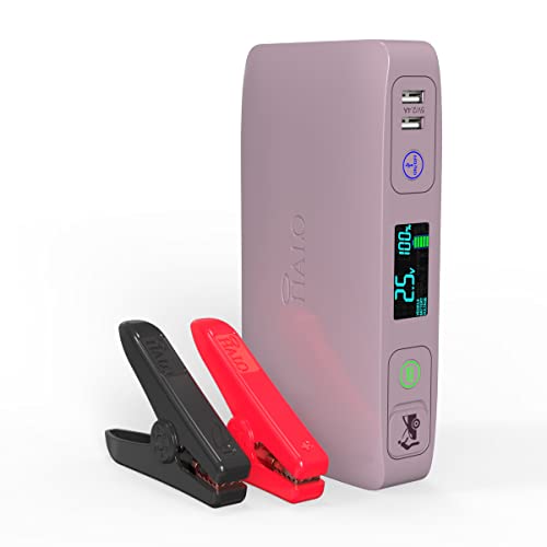 Halo Bolt ACDC Max 55500 mWh - Portable Phone Laptop Charger Car Jump Starter with Outlet, LCD Display, Flood Light and Car Charger - Elderberry