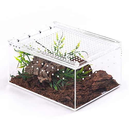 Reptile Acrylic Enclousure Tank Full View Thickened Box for Tarantula Praying Mantis Spider Terrarium (5.9 * 7.9 * 3.9inch)