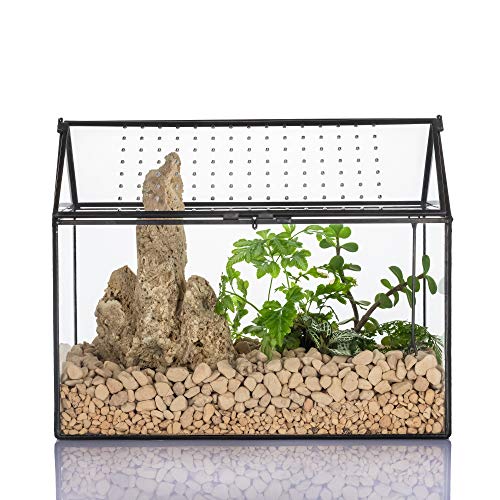 NCYP Handmade House Shape Glass Terrarium with Acrylic Lid (10.2x5.9x8.2 Inches) Tabletop Large Geometric Terrarium Box for Snails Moss Ferns Succulents Plants, DIY Gift (Terrarium Only)