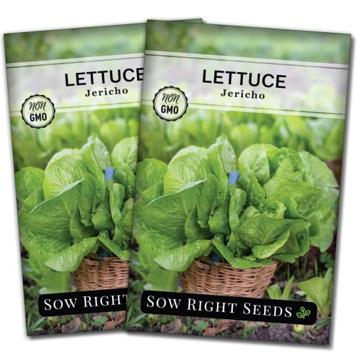 Sow Right Seeds - Jericho Lettuce Seeds for Planting - Non-GMO Heirloom Packet with Instructions to Plant a Home Vegetable Garden - Indoors or Outdoor - Heat Tolerant Romaine Lettuce - Great Gift (2)