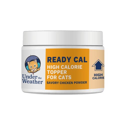 Ready Cal Powder for Cats | High-Calorie, Weight Gainer, Appetite Stimulant, Energy Booster Pet Suppliment | 20 Scoops (Scoop Included)
