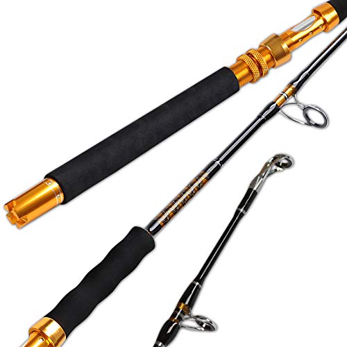 Fiblink Saltwater Jigging Spinning Rod 1-Piece Heavy Jig Fishing Rod (30-50lb/50-80lb/80-120lb, 5-Feet 6-Inch)(50-80lbs)