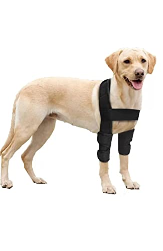 Balti Dog Brace for Canine Elbow and Shoulder Support, Dog Elbow Protector, Dog Leg, Dog Knee Brace Hygroma Dysplasia Osteoarthritis Elbow Calluses Pressure Sores and Shoulder Dislocation (Medium)