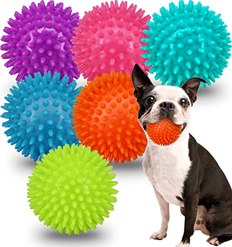 2.5" Squeaky Dog Balls for Small Medium Dogs, 6 Pack Small Dog Chew Toys with Spike, Puppy Toys for Teeth Cleaning and Training