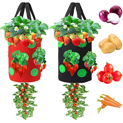 Miewslan 2 Pack Hanging Planting Grow Bags, 3 Gallons Garden Upside Down Planter Bag Tomato Strawberry Vegetable Planting Bag (Red+Black)