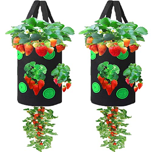 Miewslan 2 Pack Gardens Upside Down Strawberry Plante, Hanging Tomato Strawberry Grow Planter Garden Vegetable Planting Bags with Holes(Black)
