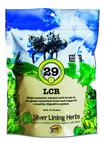 Silver Lining Herbs 29 LCR - Natural Herbal Supplement for Horses - Provides Support for Equine Ulcers - Helps Promote Equine Pulmonary Health - 1 lb Bag