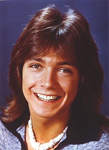 David Cassidy Posed in Blue Coat Photo Print (8 x 10)