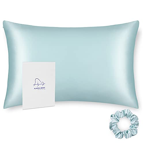 ALASKA BEAR Silk Pillowcase Hypoallergenic for Acne Prone Skin Best 100 Percent Mulberry Silk Real Cooling Pillow Case Queen Size with Zipper (1pc, Eggshell Blue)