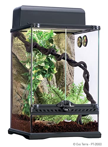 Exo Terra Rainforest Habitat Kit (includes PT2602) - Small