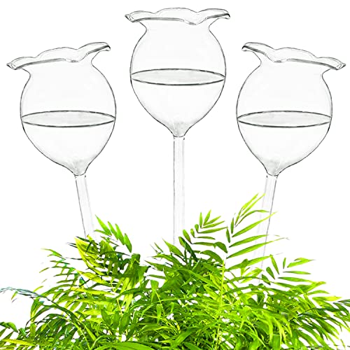 Haawooky Self Watering Globes,Clear Glass Plant Water Bulbs,Hand Blown Automatic Plant Waterer Device for Indoor Outdoor Plants,3 Pack