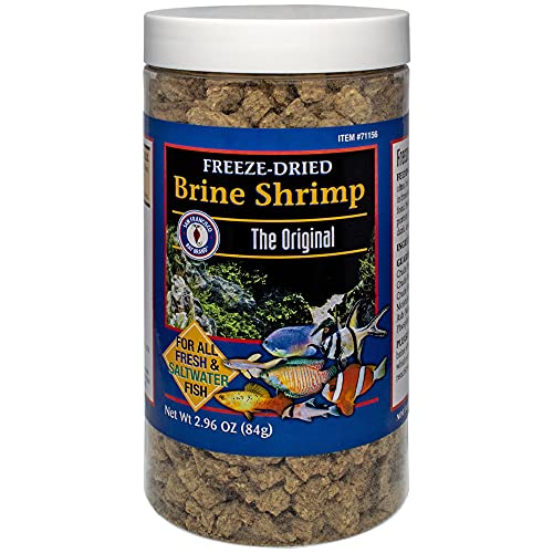 San Francisco Bay Brand Freeze-Dried Brine Shrimp 2.96-Ounces (84 Grams) Jar