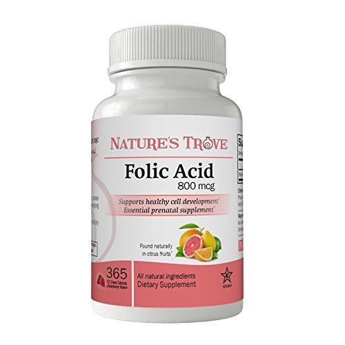 Nature's Trove Folic Acid 800 mcg (B9 Vitamin) 365 EZ Chew Tablets Strawberry Flavor