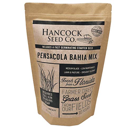Hancock's Pensacola Bahia Spring & Summer Grass Seed Mix - 5 lbs.
