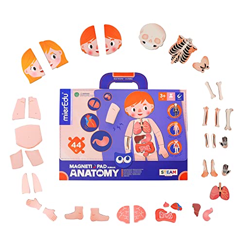 mierEdu Magnetic Anatomy Play Set for Toddlers Kids,Human Body Puzzles with 44 Pieces and Magnetic Play Board STEM Educational Toys Science Kits,Play Doctor Kit for Kids Toddlers