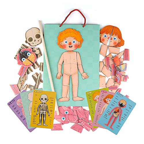 Wondertoys Human Body Puzzle for Kids - 90 Pcs skeleton puzzle body parts for toddlers Wooden Magnetic Puzzle Educational Human Anatomy Body Puzzles to Learn Body Parts, preschool classroom must haves