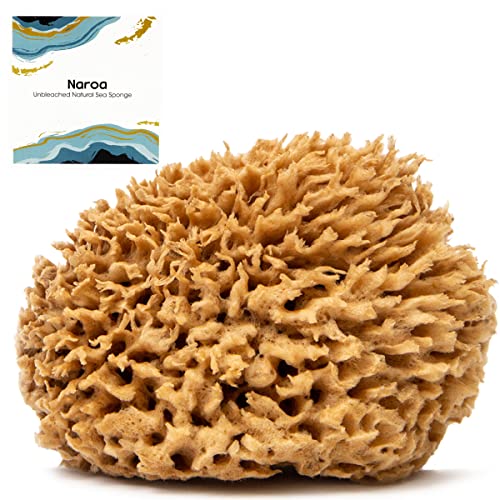 Naroa Natural Sea Sponge for Bathing | Unbleached Shower Body Scrubber Puff | Soft Gentle Bath Sponge for Healthy Skin | Eco Friendly Plastic Free Renewable Sponge for Men Women (Small)