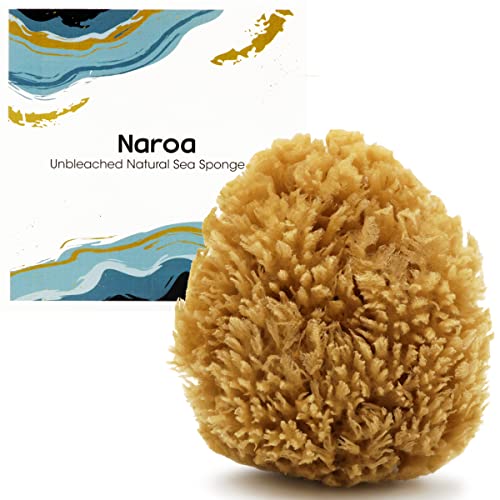 Naroa Natural Sea Sponge for Bathing | Unbleached Shower Body Scrubber Puff | Exfoliating Bath Sponge for Healthy Skin | Eco Friendly Plastic Free Renewable Sponge for Men Women (Medium)