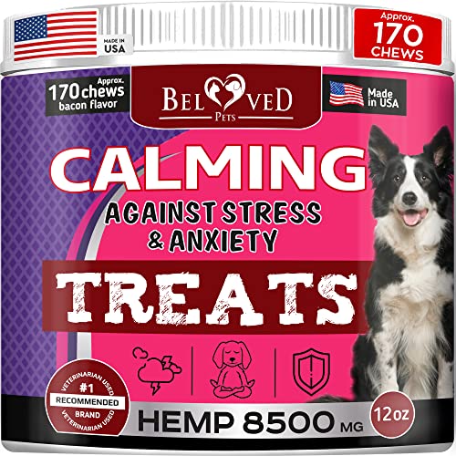 Hemp Calming Chews for Dogs & Puppy-Pet Separation Anxiety Relief Treats & Calm Aggressive Behavior - Melatonin Anti Stress Treatment Help with Thunder, Sleep Aid - Made in USA (Bacon (For Dogs))