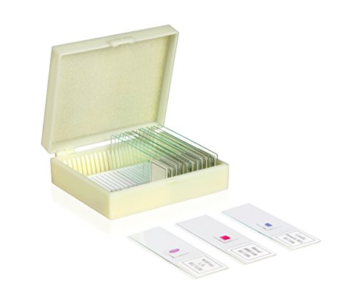 Vision Scientific VSH116 Prepared Slide Set  Deadly Human Diseases (Set of 10) Package | Slotted Slide Case for Convenient Storage | Slides are Clearly Labelled | Specimens are Cover Slip Sealed