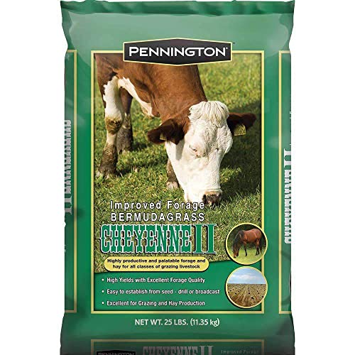 Hancock Seed Co. Cheyenne II Bermuda Grass Seeds, Certified, 25 lbs.