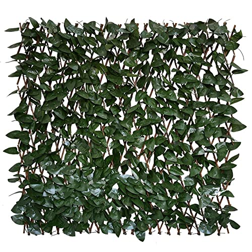 Jiumu Yiya Expandable Fence Privacy Screen for Balcony Patio Outdoor,Decorative Faux Ivy Fencing Panel,Artificial Hedges (Single Sided Leaves) (1, Green)