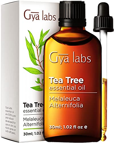 Gya Labs Australian Tea Tree Oil for Hair & Scalp - 100% Pure & Natural Therapeutic Tea Tree Oil for Face - Tea Tree Oil for Skin, Toenails & Piercings (1 Fl Oz)